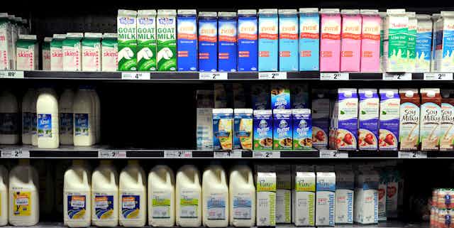 Supermarket milk section