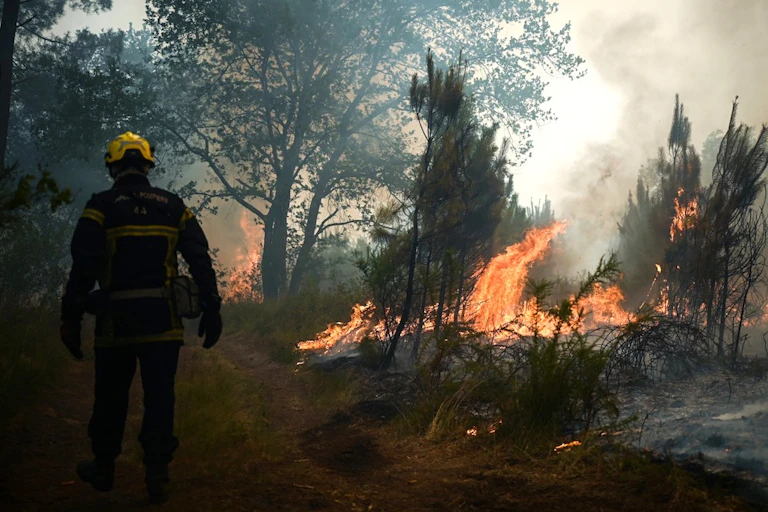 Incendies en Gironde en juillet 2022.