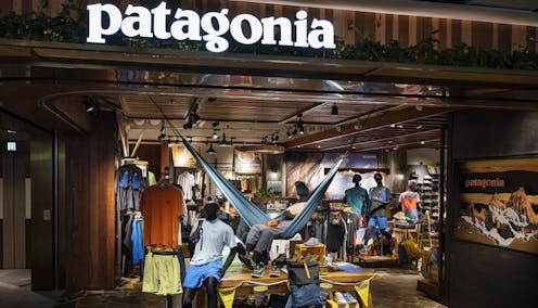 Why Patagonia's purpose-driven business model is unlikely to spread