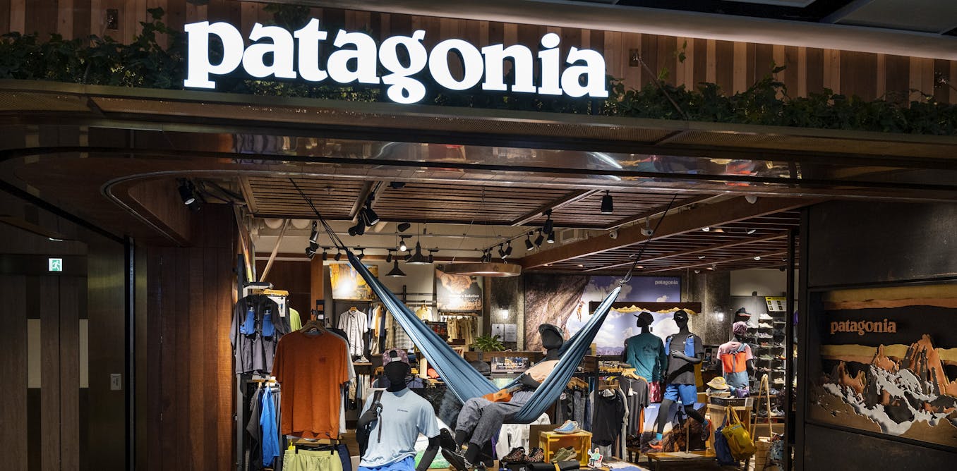 Why Patagonia’s purpose-driven business model is unlikely to spread