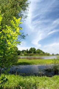 A river channel surrounded by green trees against a cloudy blue sky.