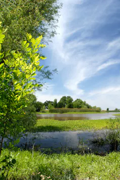 A river channel surrounded by green trees against a cloudy blue sky.