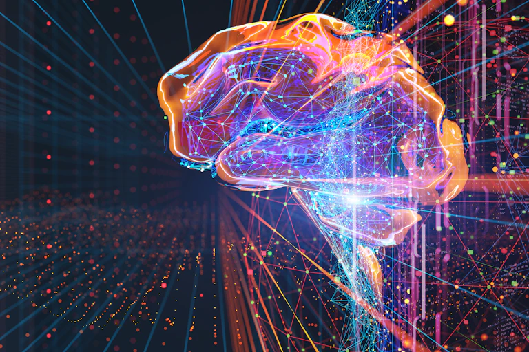 Three-dimensional rendering of a human brain lit