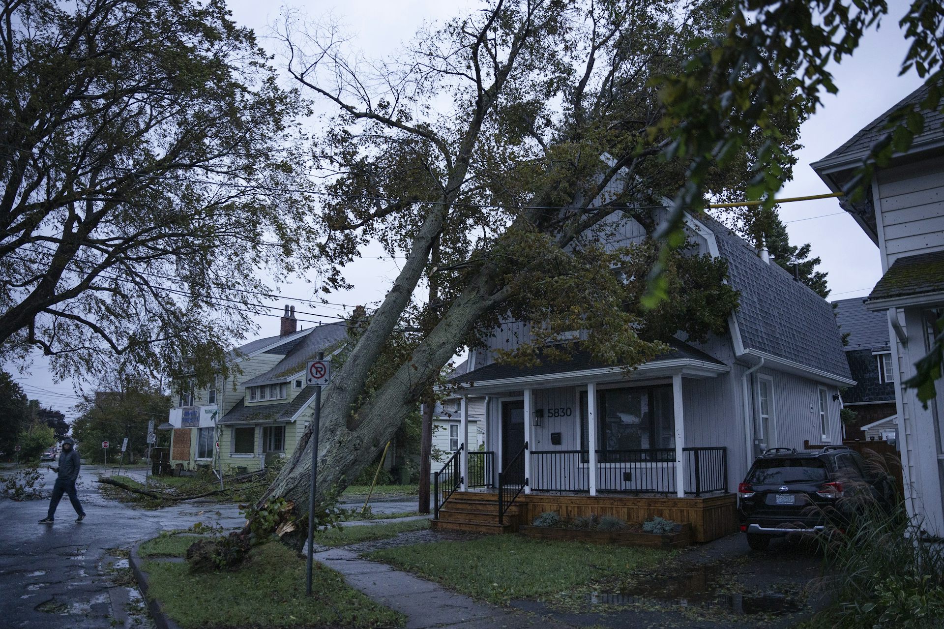 A fallen tree rests on top of a house