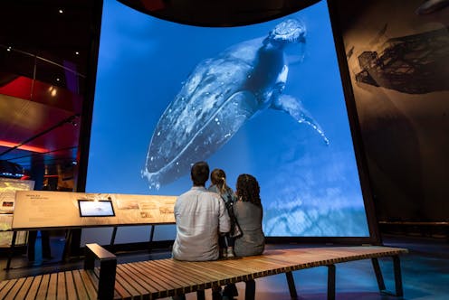 Finally bold and imaginative: the first major redesign of the National Museum of Australia is a triumph