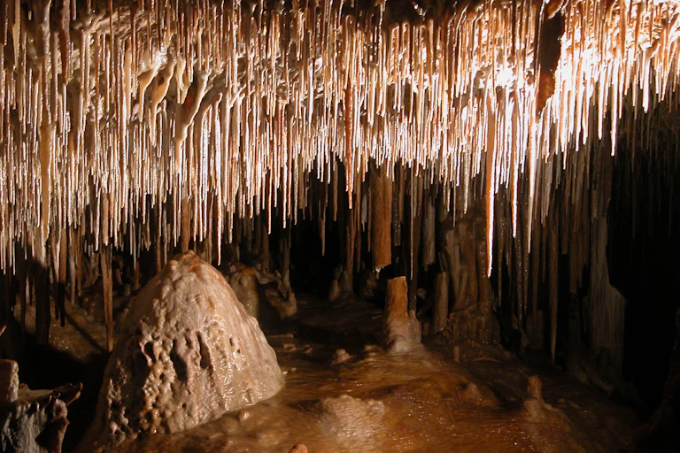 speleothem decorations in a cave
