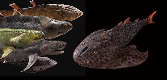 Six prehistoric fishes are illustrated, five on the left and one on the right. 