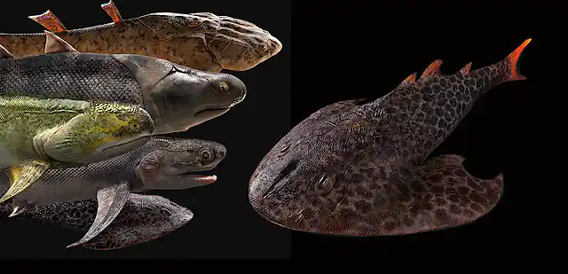 Early Simple Fish A kung-fu kick led researchers to the world’s oldest complete fish ...