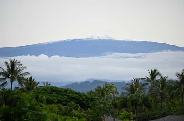 Scenic shot of a mountain semi-obscured by clouds with palm trees in the foreground