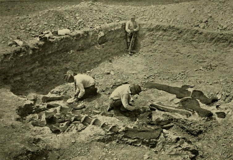 Altes Foto von drei Männern, die an einer Ausgrabungsstätte arbeiten.