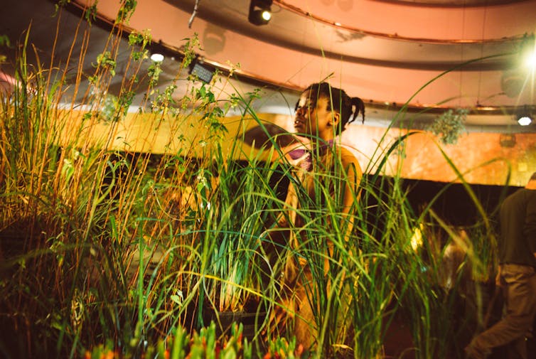 A young girl stands behind reeds.