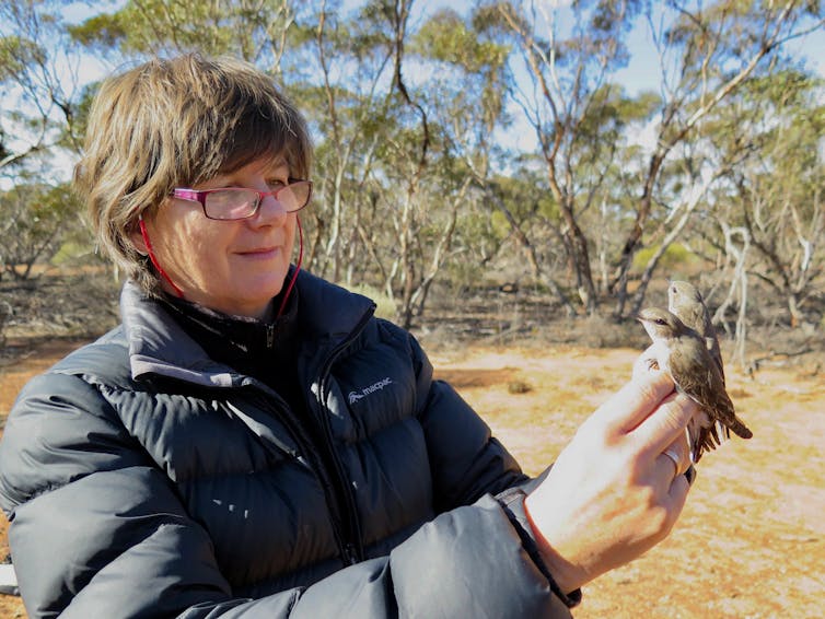 woman in black jacket holds two small birds on her hand