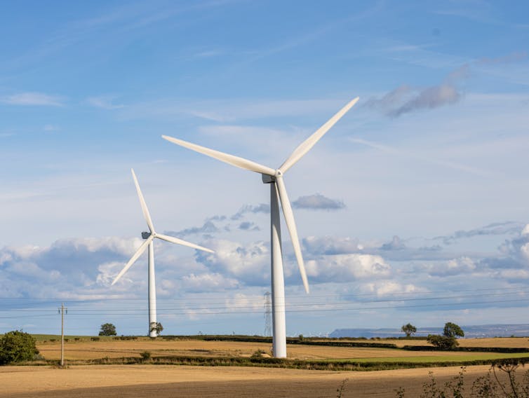 Wind turbines in field