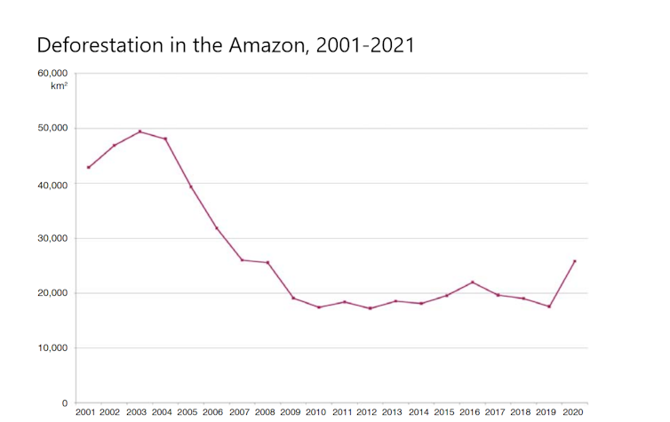 يظهر الرسم البياني أن إزالة الغابات تراجعت في أوائل عام 2000 لكنها ارتفعت مرة أخرى بشكل حاد ابتداء من عام 2019.