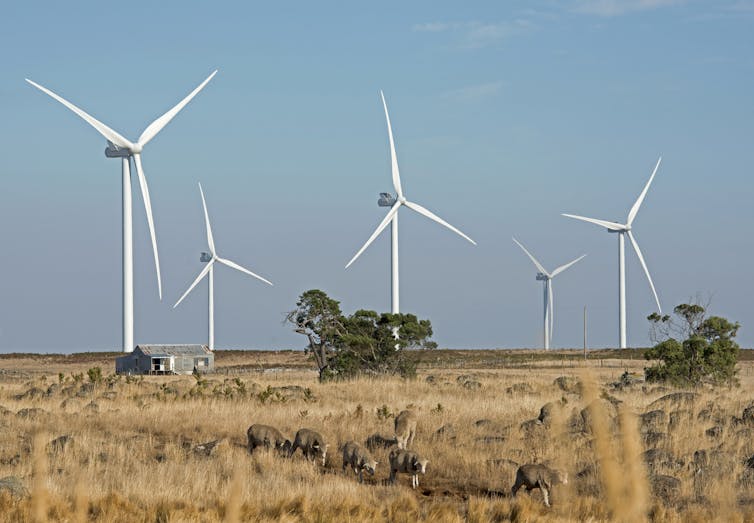 windfarm hamilton vic