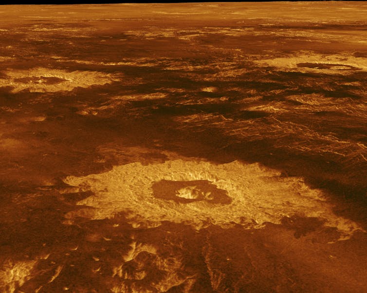 Immagine dei crateri su Venere visti dalla sonda Magellan di Venus Nasa.