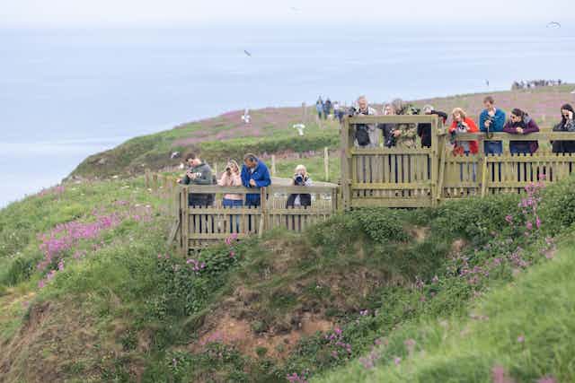 People standing in a line on top of a cliff observing wildlife with birds flying overhead.