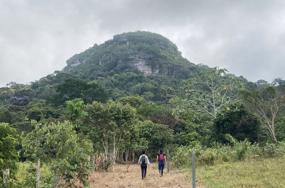 A flat-topped mountain known as a 'tupuye' near Chiribiquete National Natural Park