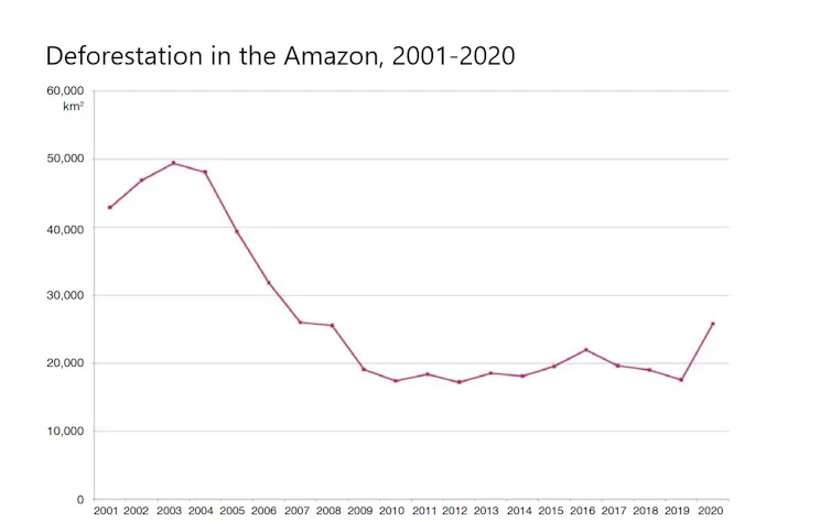 A chart shows deforestation fell in the early 2000 but sharply rose again starting in 2019