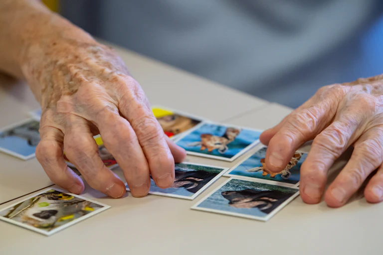 A older person's hands seen playing a game of memory.