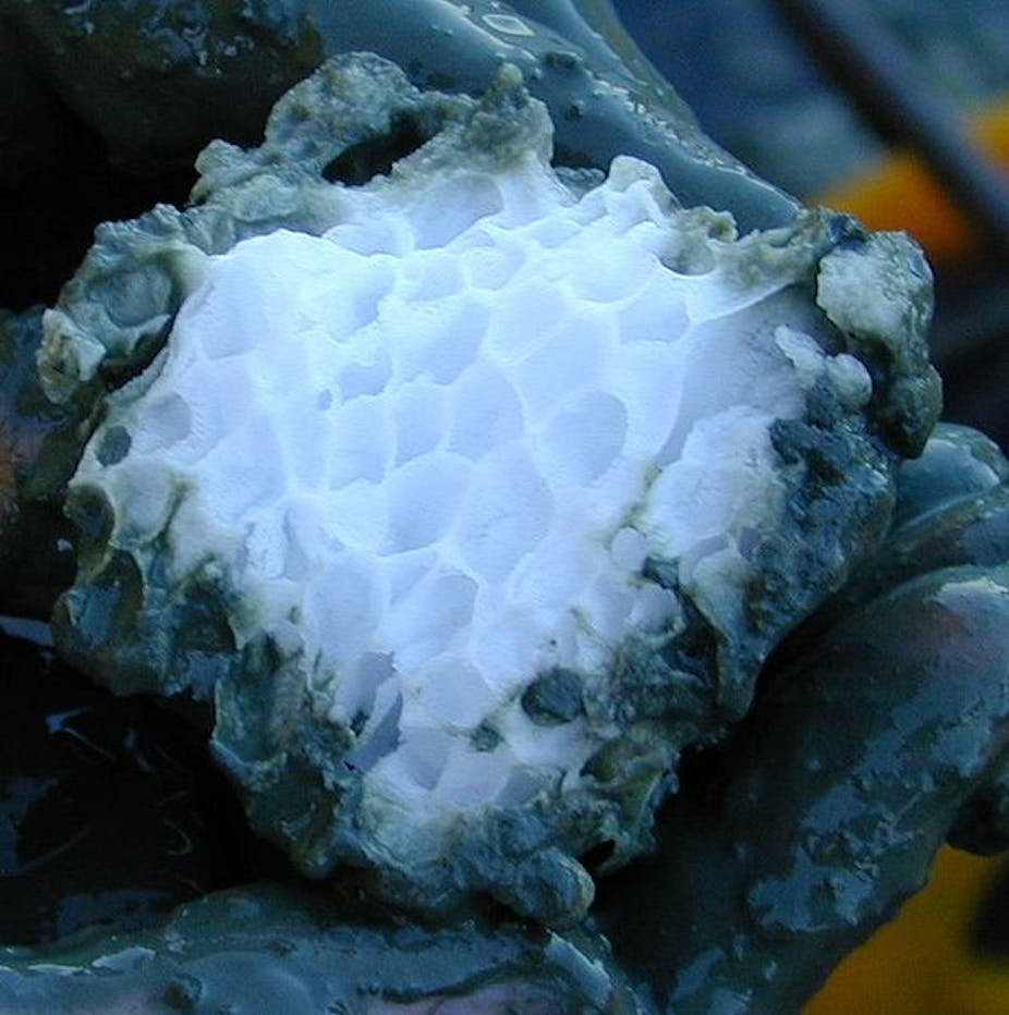 Japan S Quest To Tap The Natural Gas Beneath The Ocean Floor