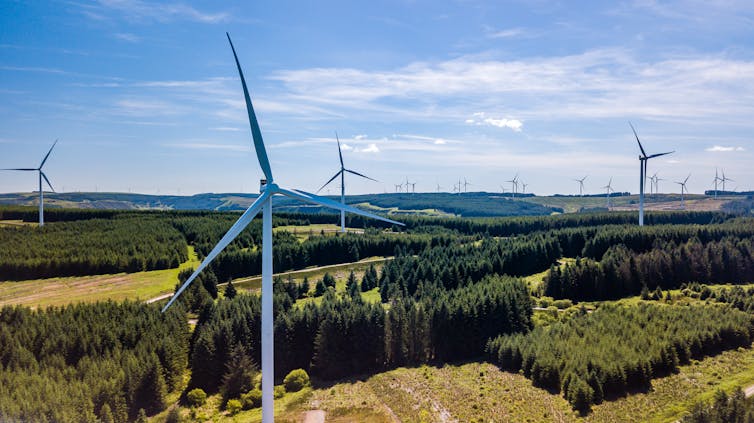 Aerial view of wind farm with forest and fields in background