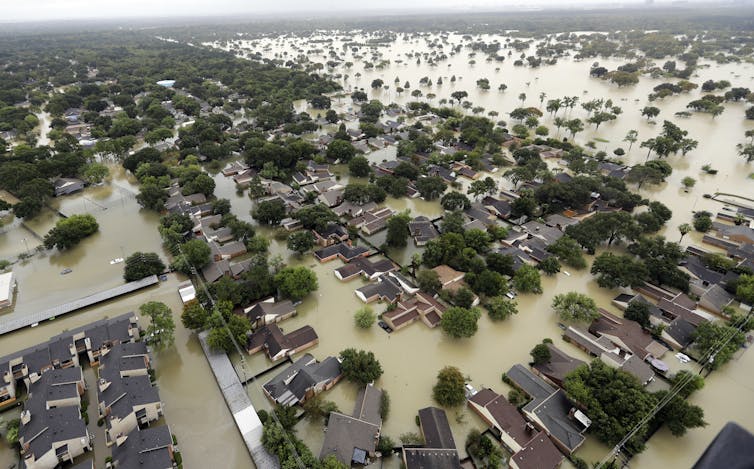 homes and trees are surrounded by flood waters