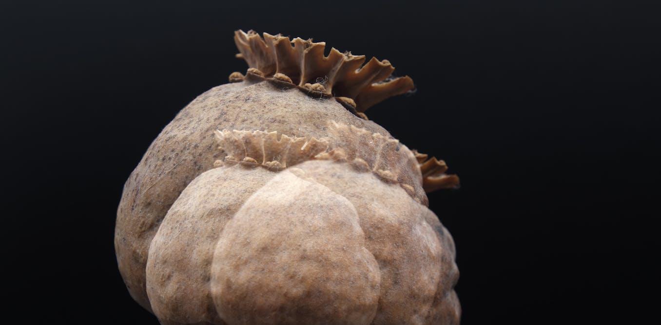 Viagra Online Buy In India