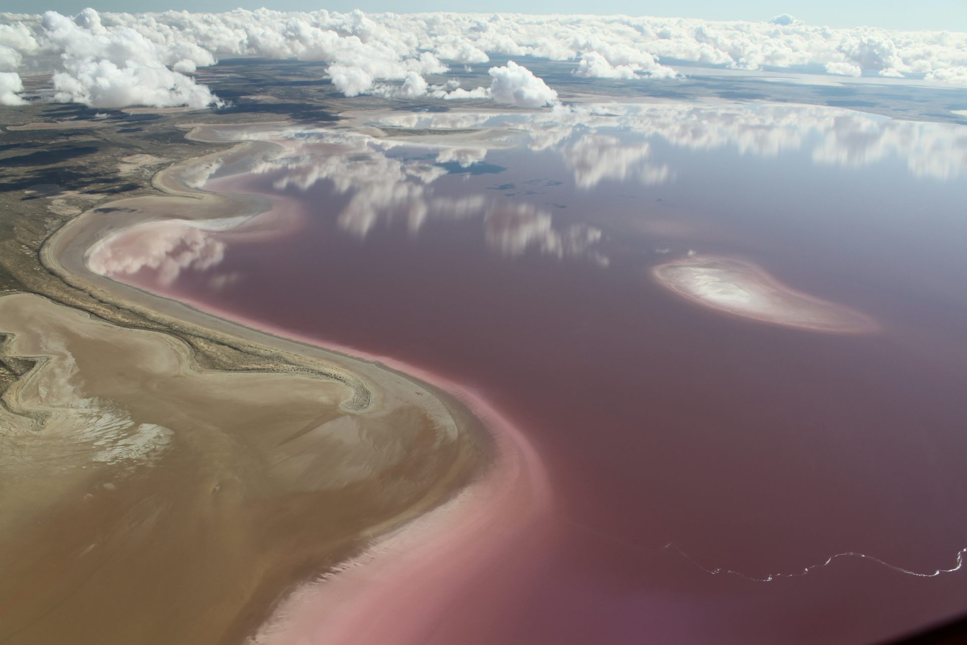 Lake Bumbunga (Pink Lake)