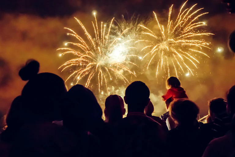 People enjoy night time firework display