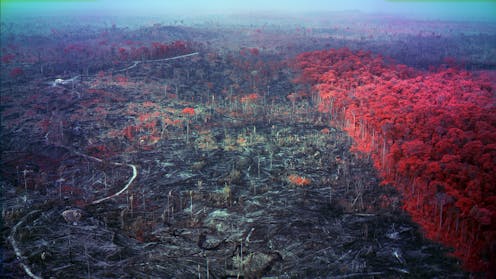 how artist Richard Mosse brings us the vast, significant and urgent story of the Amazon's destruction