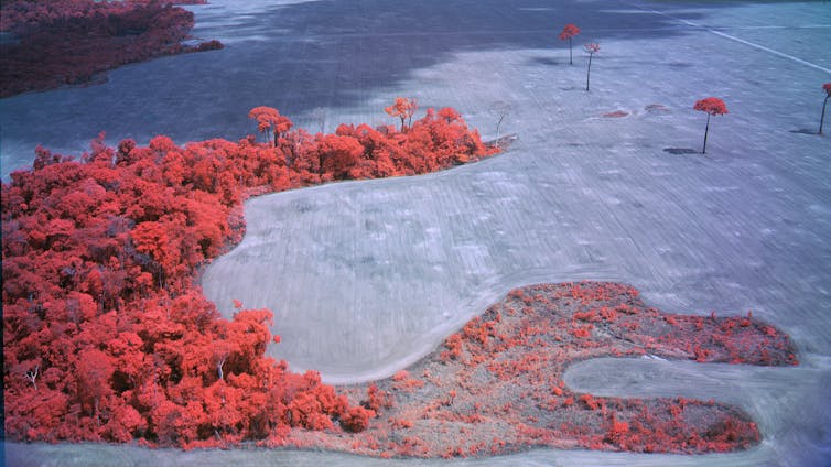 An infrared landscape