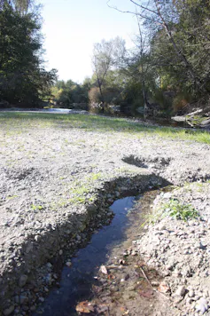 A dry section of a river.