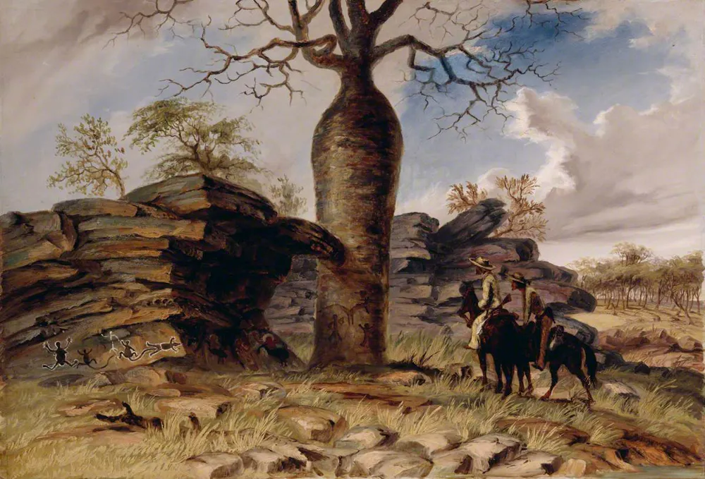 Boab Tree Shadow The boab trees of the remote Tanami desert are carved with centuries of ...
