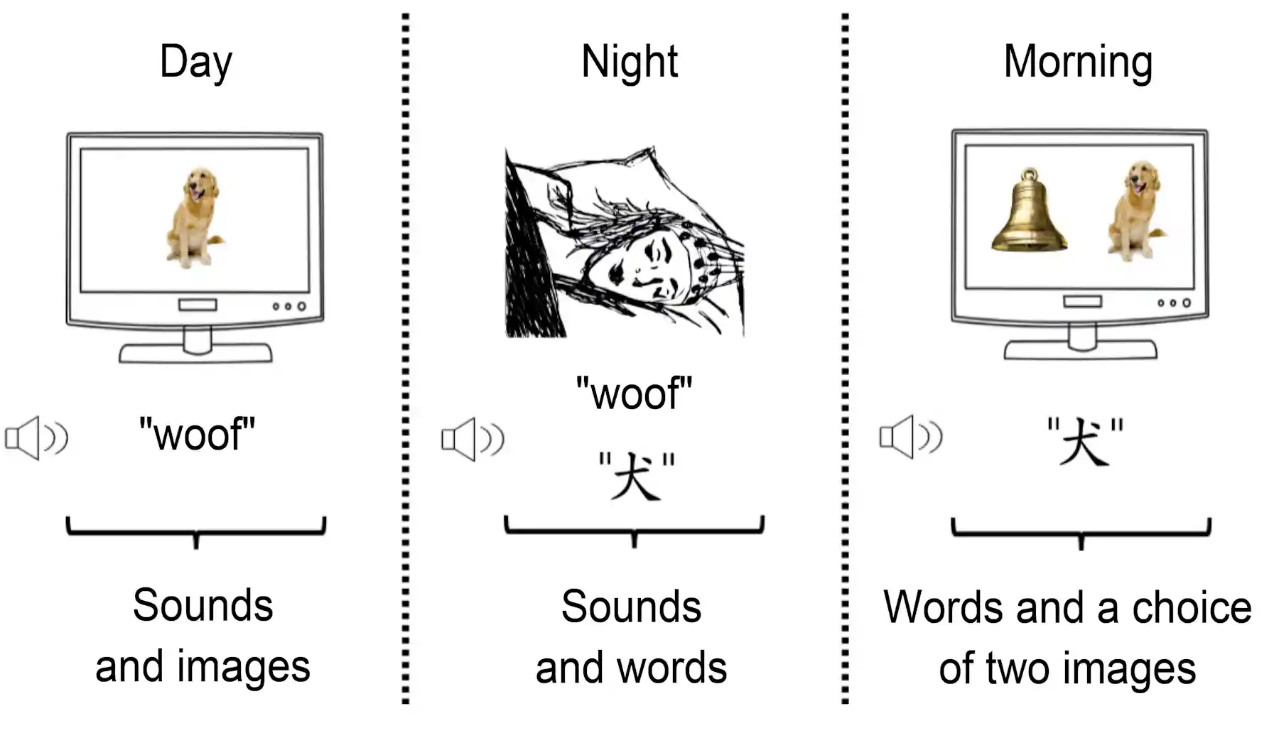 Can You Learn A Language In Your Sleep We Found You May Be Able To can-you-learn-a-language-in-your-sleep-we-found-you-may-be-able-to