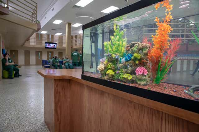 A large fish tank sits in an indoor room, with people in green outfits in the background watching TV.
