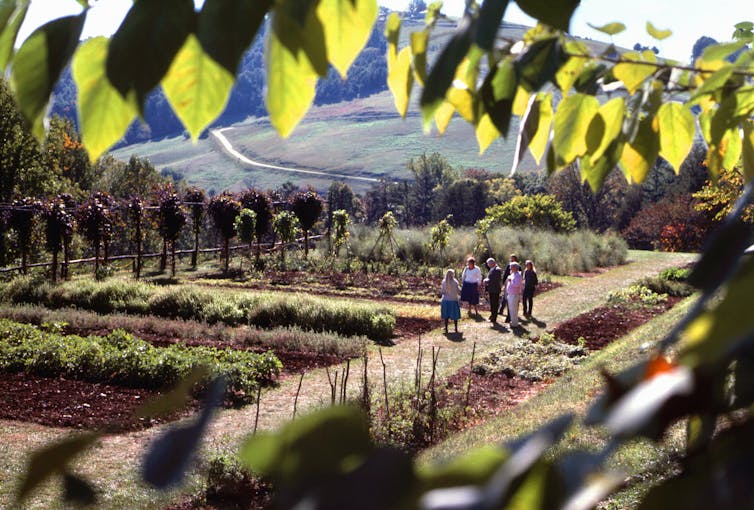 A tidy and large garden, with a group of visitors in the middle of it.