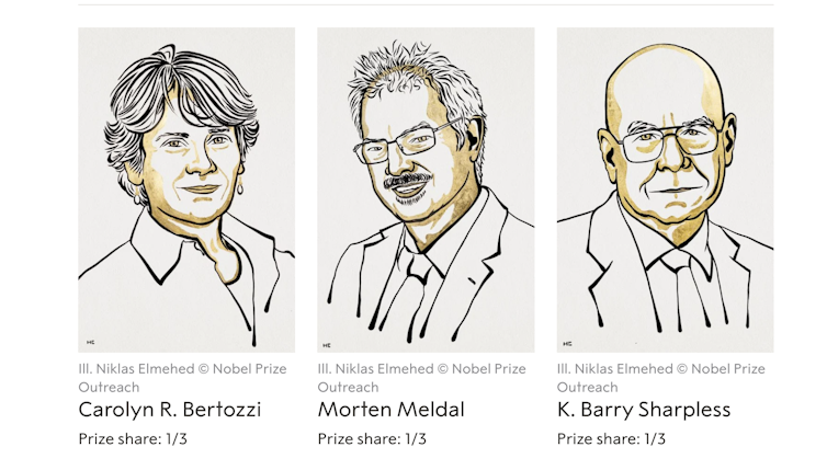 Nobel prize awarded for ‘click chemistry’ – an environmentally friendly method of building molecules
