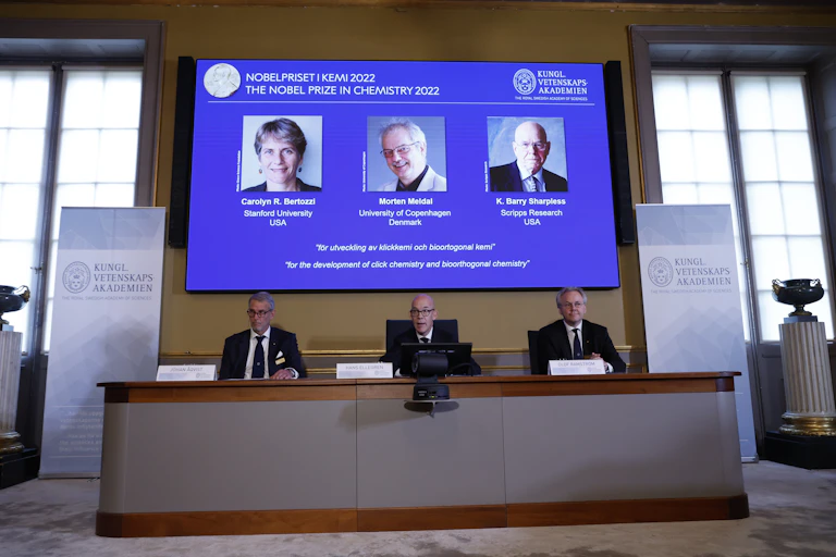 Image from the Nobel announcement, with the winners on a screen behind the committee.