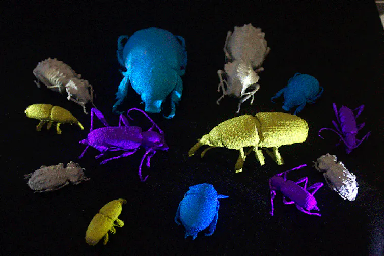 A big tick for entomologists: new 3D colour scans of insects