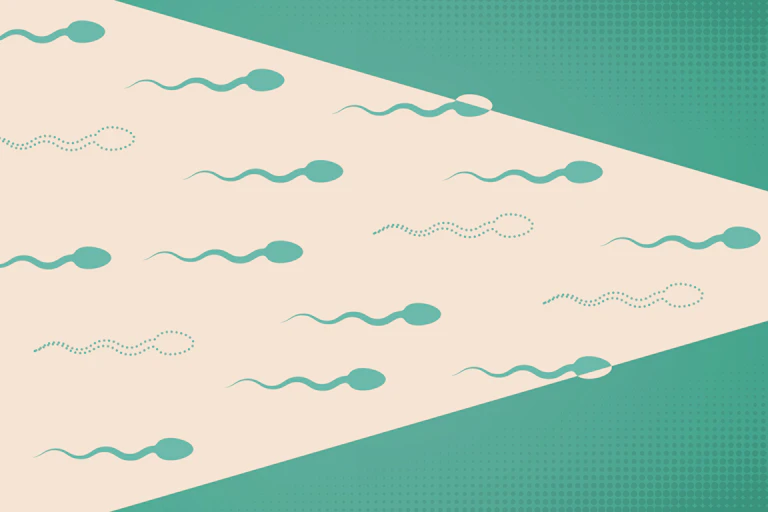 Illustration of sperm swimming through a white funnel