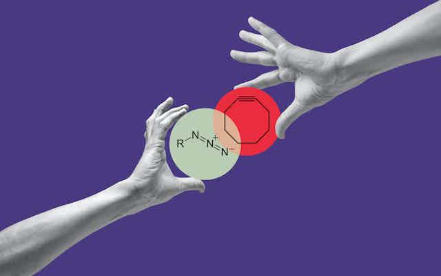 Hands bringing together two colored circles containing an azide and cyclooctyne