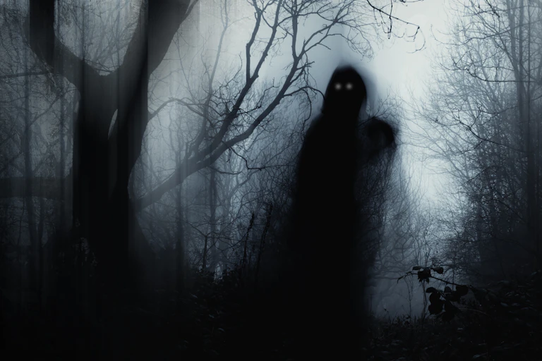 A dark, gholstly figure seen walking in a dark woods.
