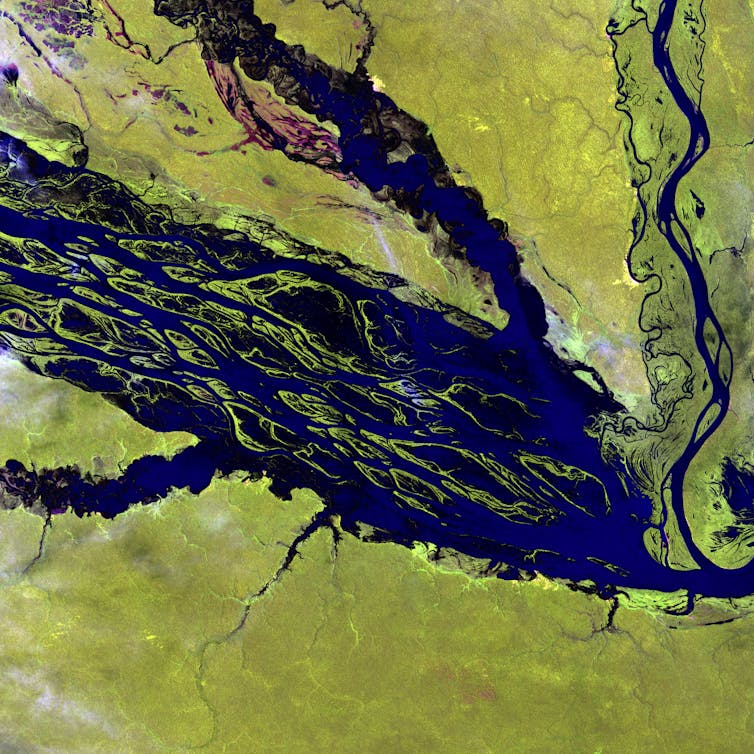 View from above of the blue Rio Negro (black river) with a mosaic of rivers surrounded by green plains.