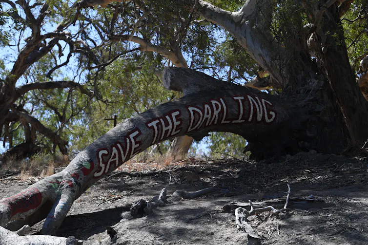 dry river bed with tree trunk bearing words 'save the Darling'
