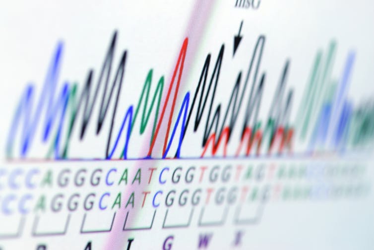 A colourful chart on a screen with DNA base code underneath