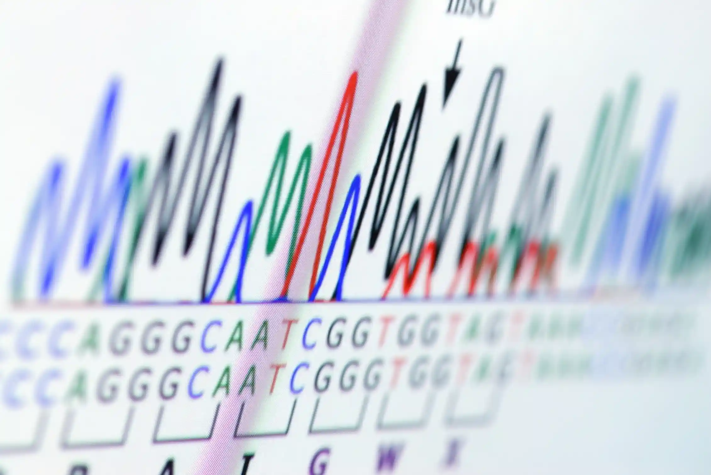 DNA is often used in solving crimes. But how does DNA profiling ...