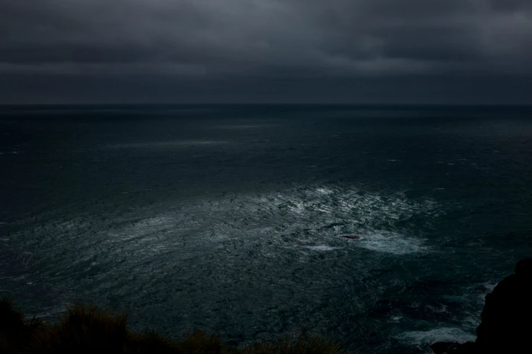 The ocean