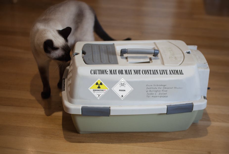 Image of a cat sniffing a container with the label 'caution: may or may not contain live animal'.