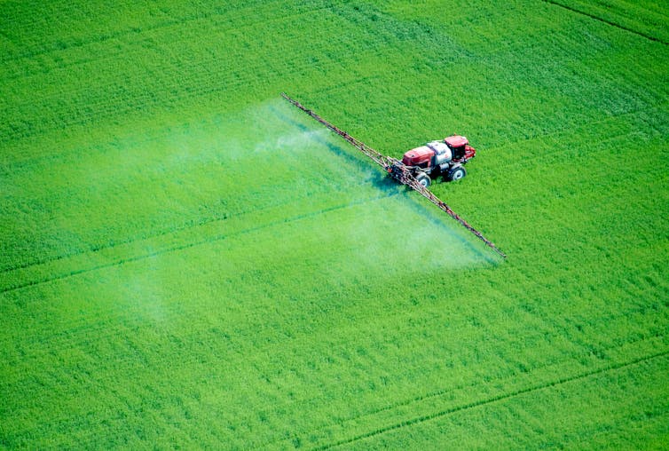 ‘Silent Spring’ 60 years on: 4 essential reads on pesticides and the environment